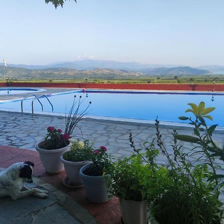Περι Ανεμων Hotell Zervi Eksteriør bilde